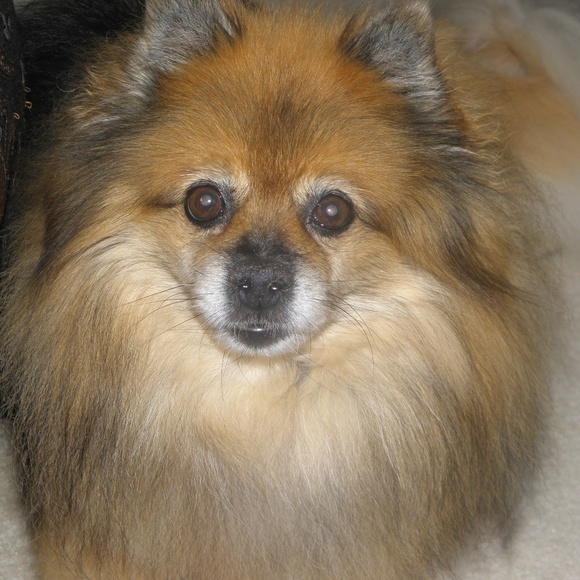 Welcome to my Closet! - Picture 1 of 1